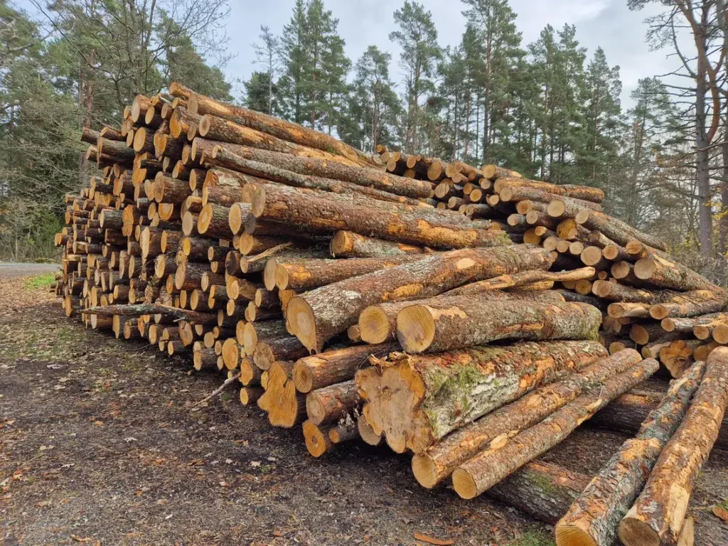 Märg küttepuu lepp